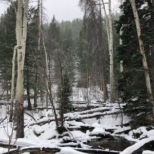 Meet your Posher, Justinn